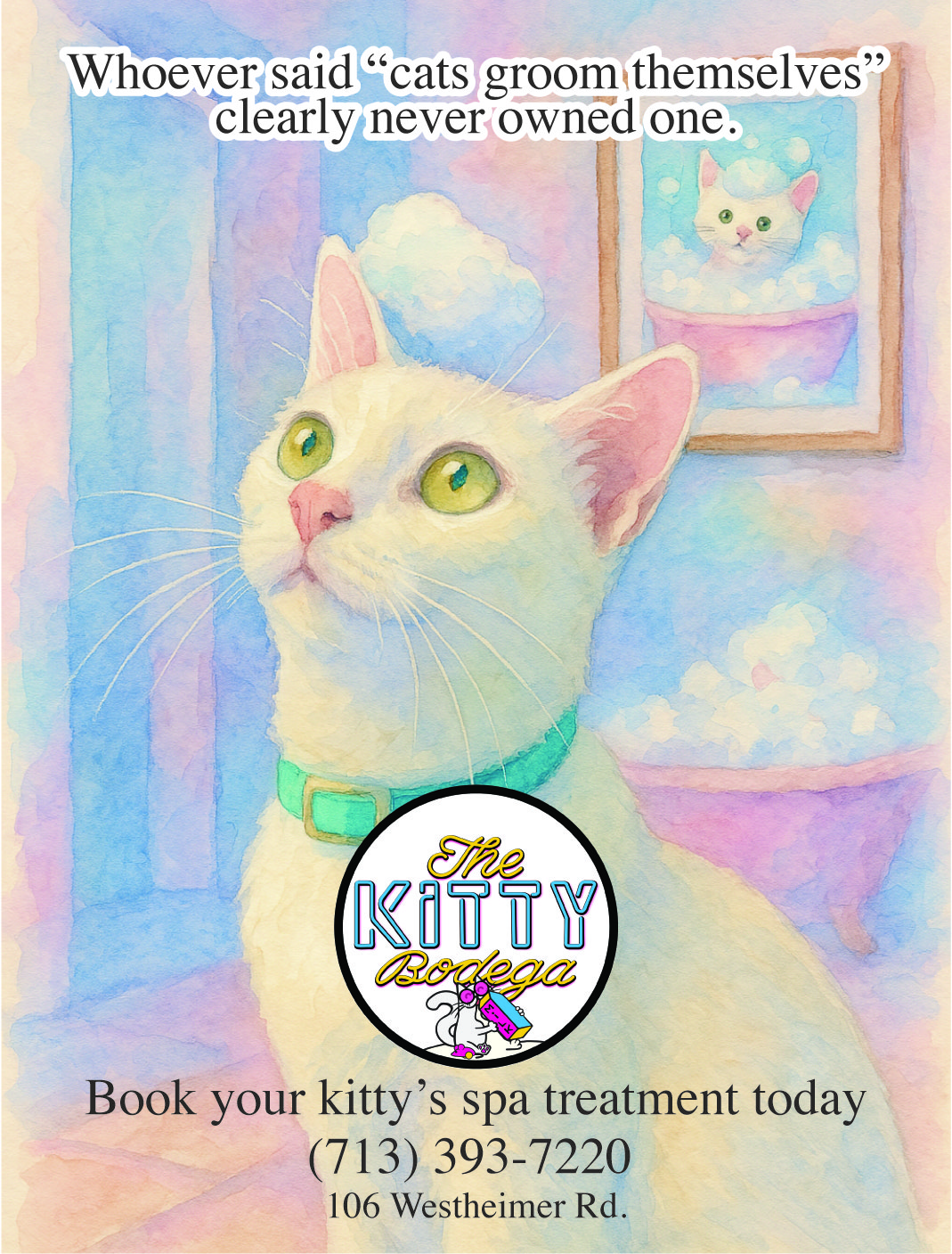 The Kitty Bodega Cat Spa Flyer